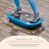 Lifepro Rumblex 4D Pro Vibration Plate
